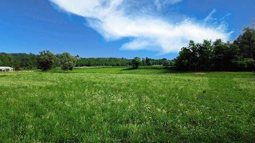 Terreno a Lonato del garda in Via Caselle - Foto 3