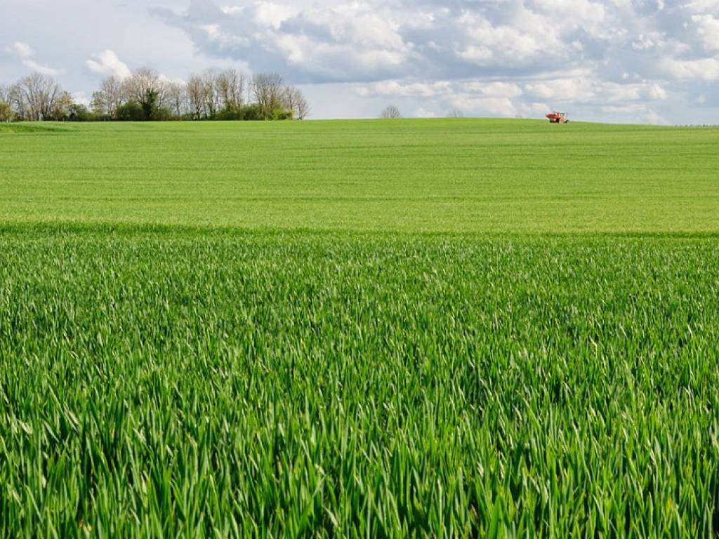 Terreno a Lonato del garda in Via Caselle - Foto 5