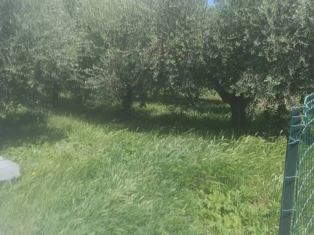 Villa a Pescara in Via Fiora, 21 - Foto 5