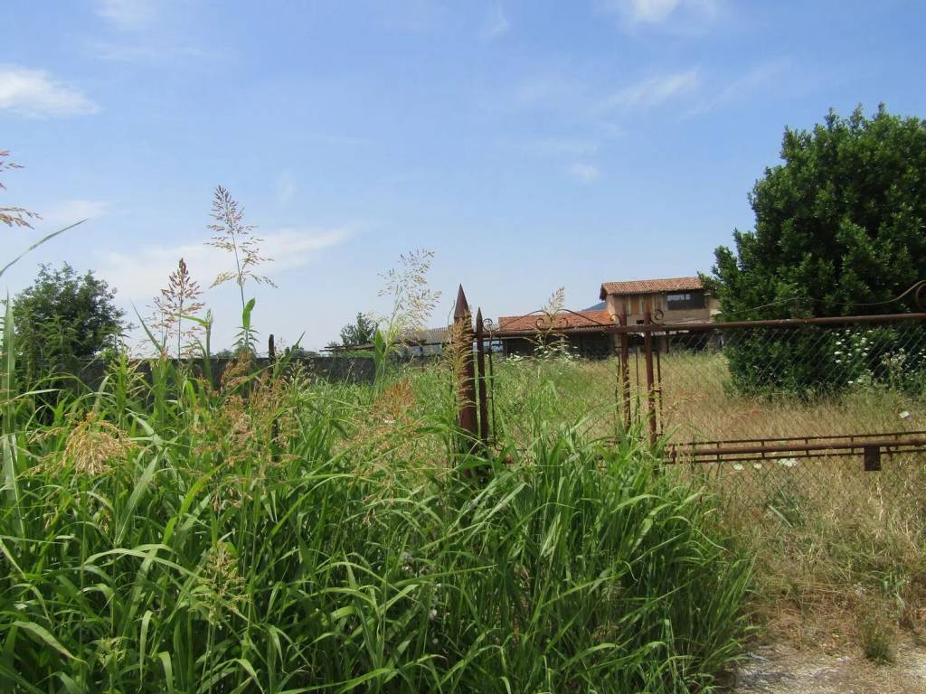 Rustico / casale a San pietro viminario in Via Granze No Number - Foto 2