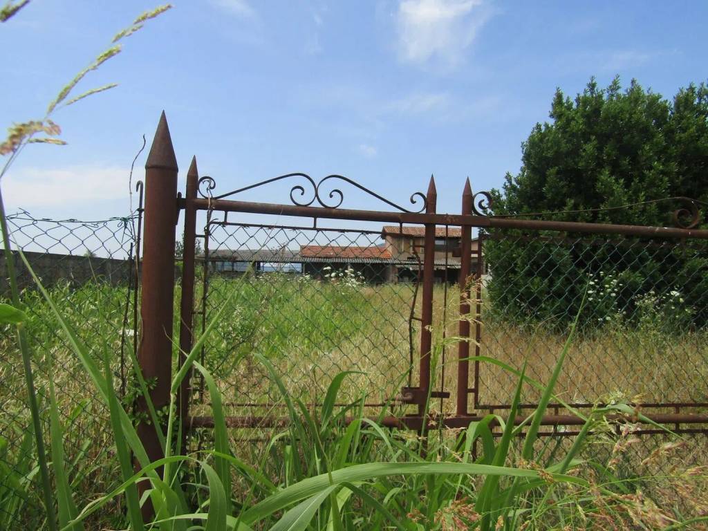 Rustico / casale a San pietro viminario in Via Granze No Number - Foto 4