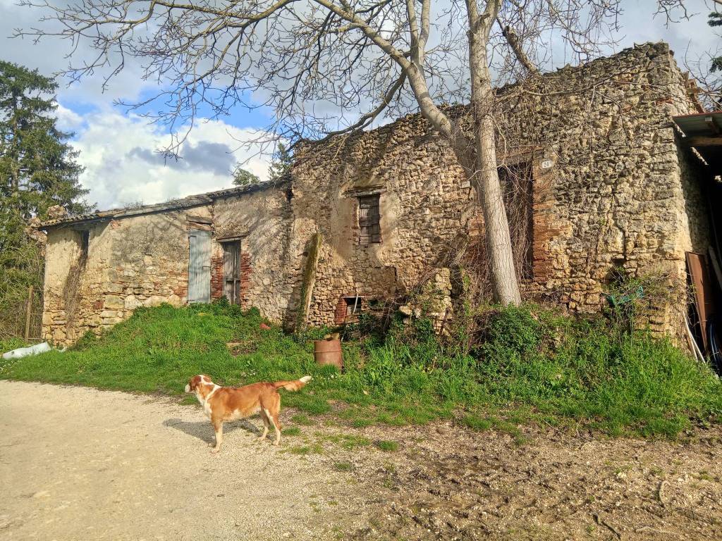Terreno a Montecastrilli in Via Settevalli, 57 - Foto 3