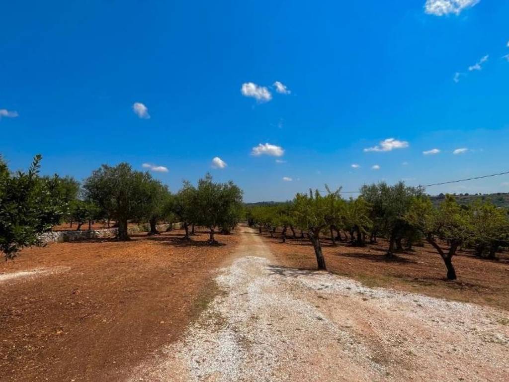 Appartamento a Monopoli in Strada Comunale Zingarello, 6 - Foto 3