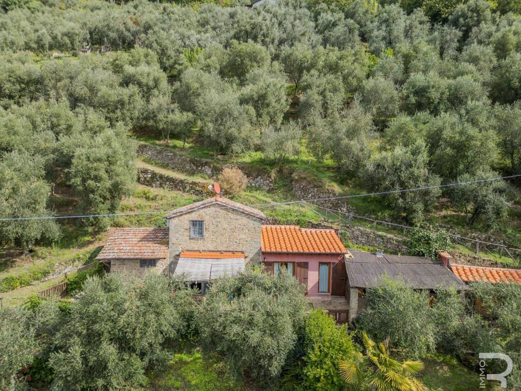 Rustico / casale a Bagni di lucca in Località Debbio - Foto 4