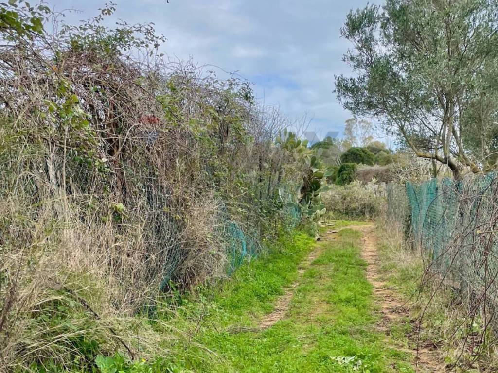 Terreno a Piombino - Foto 2