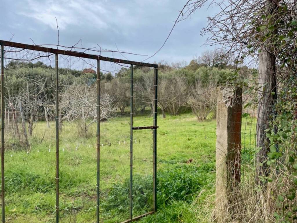 Terreno a Piombino - Foto 3