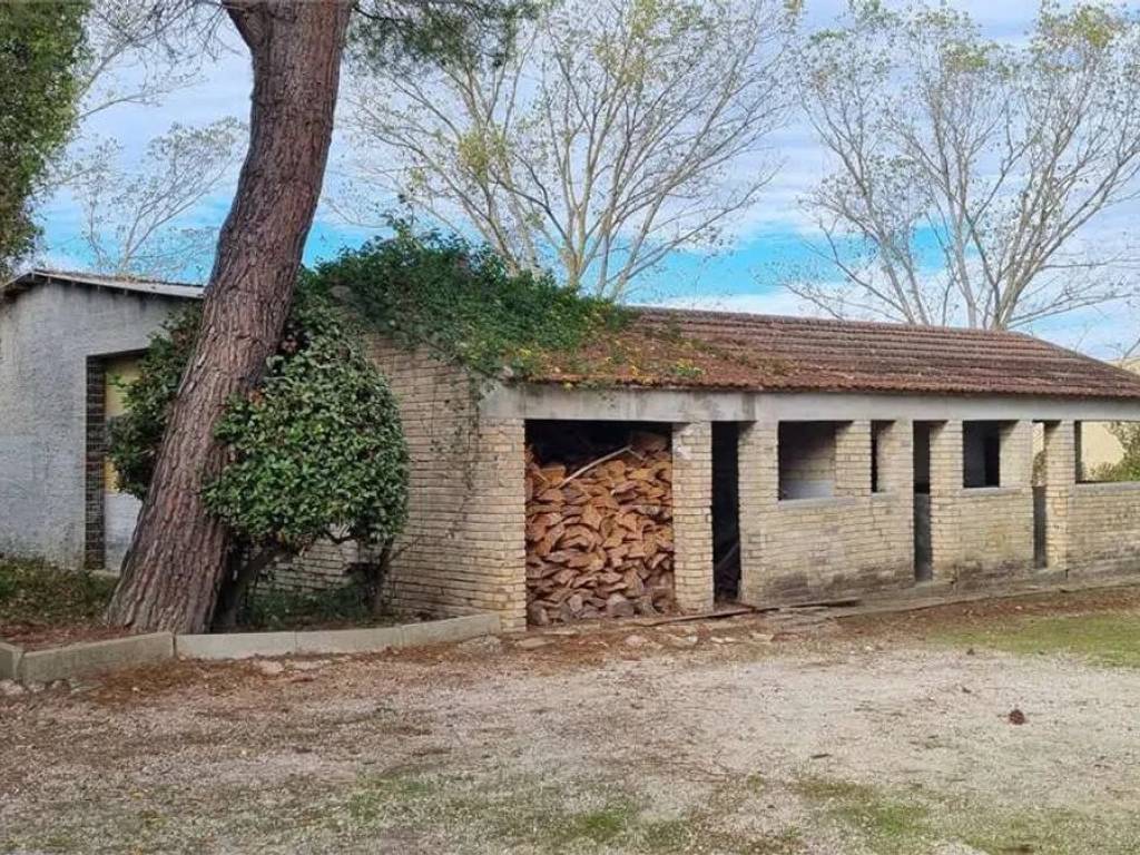 Rustico / casale a Fermo - Foto 4