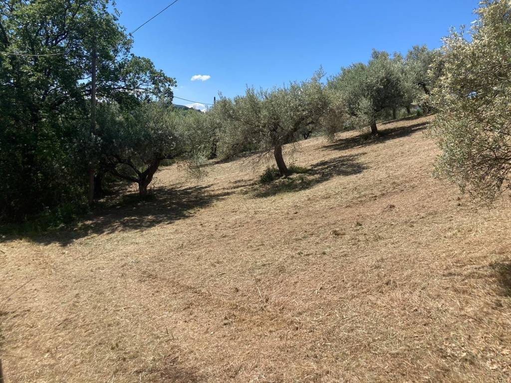 Terreno a Montesilvano in Via Alcide De Gasperi - Foto 5