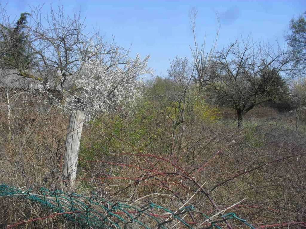 Terreno a Vigevano - Foto 3
