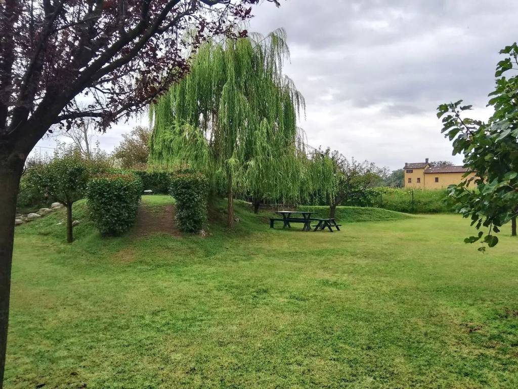 Terreno a Vigevano - Foto 2