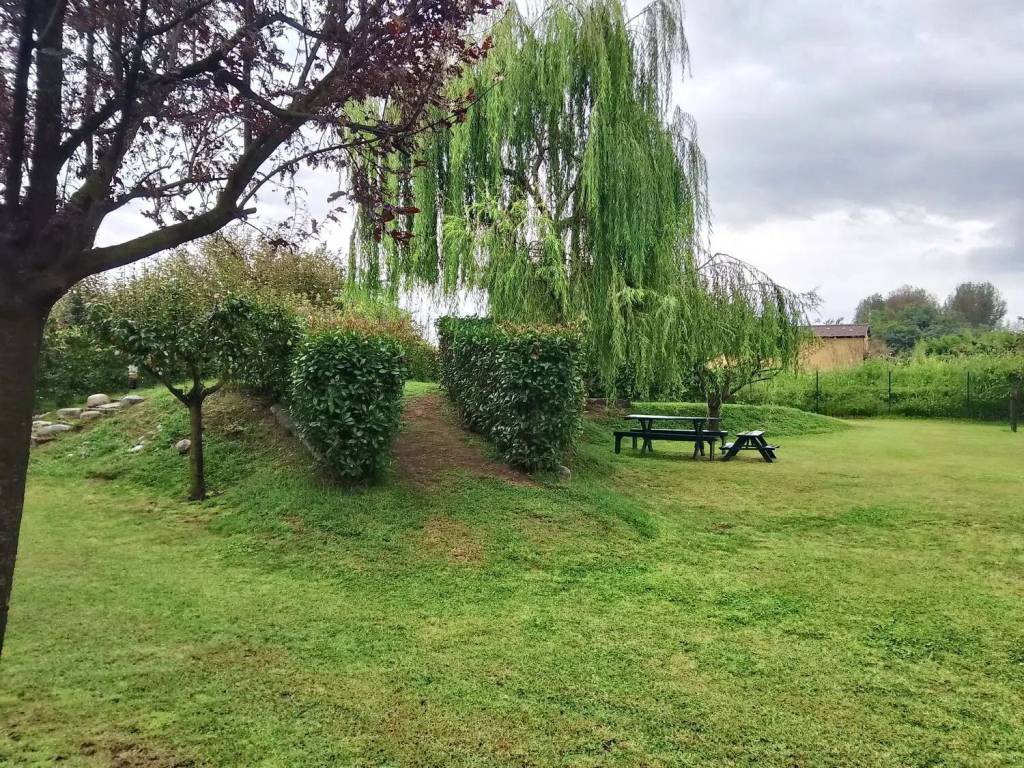 Terreno a Vigevano - Foto 3