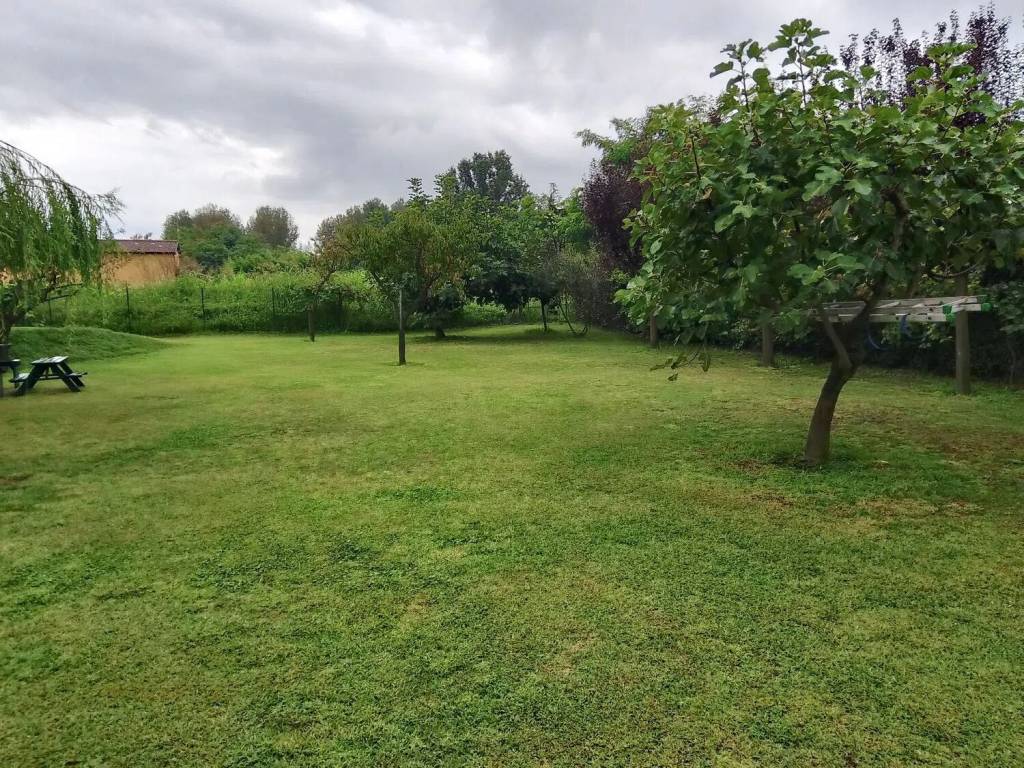 Terreno a Vigevano - Foto 4