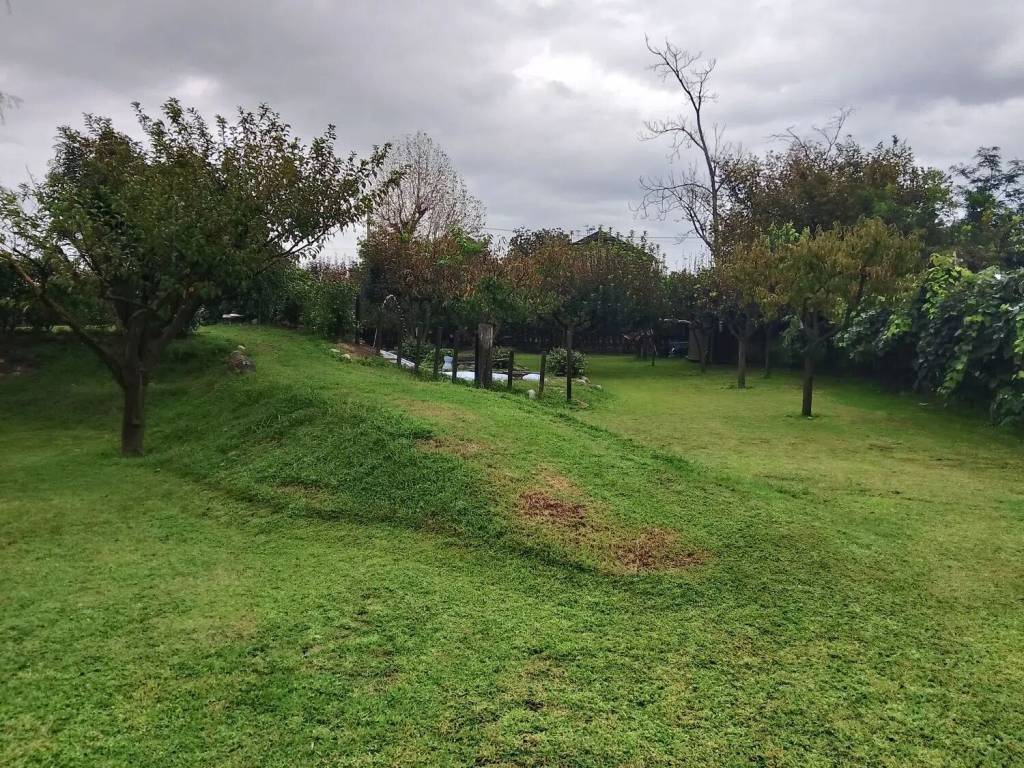 Terreno a Vigevano - Foto 5