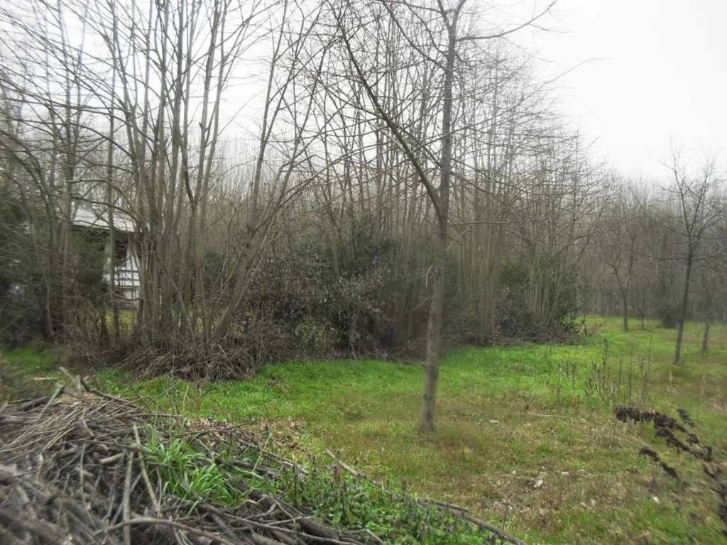 Terreno a Vigevano in Strada Ticino No Number - Foto 2