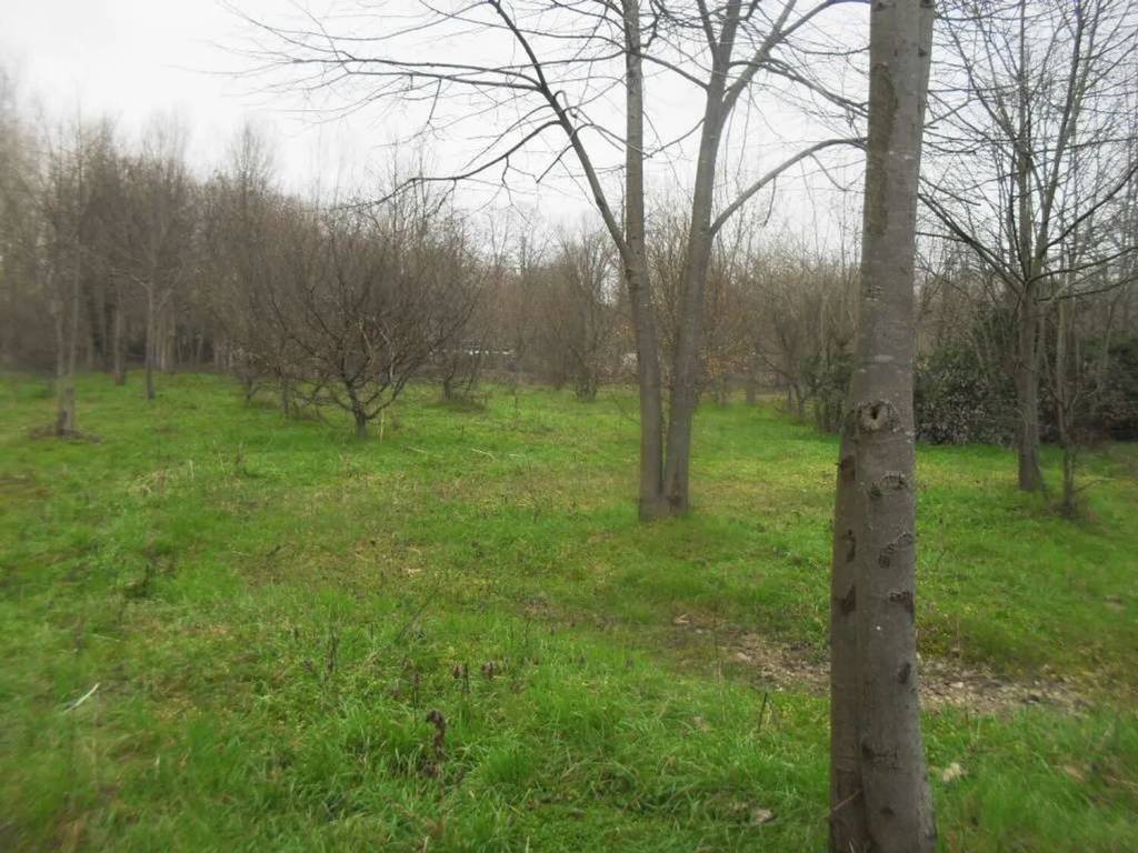 Terreno a Vigevano in Strada Ticino No Number - Foto 5