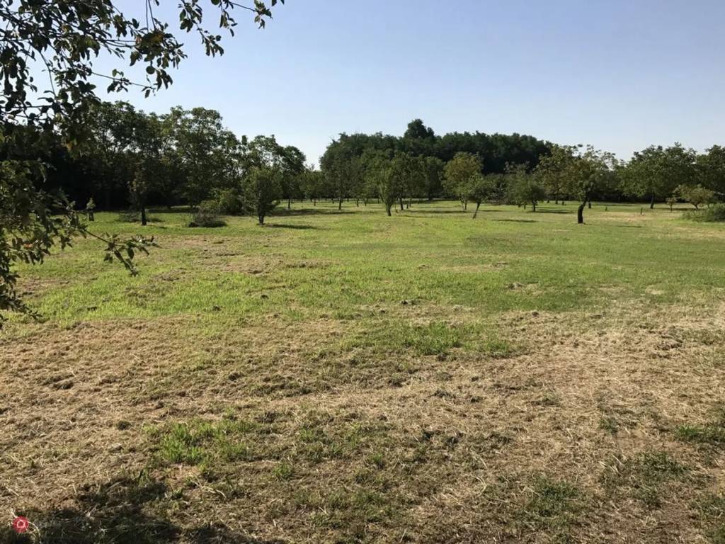 Villa a Gropello cairoli - Foto 4