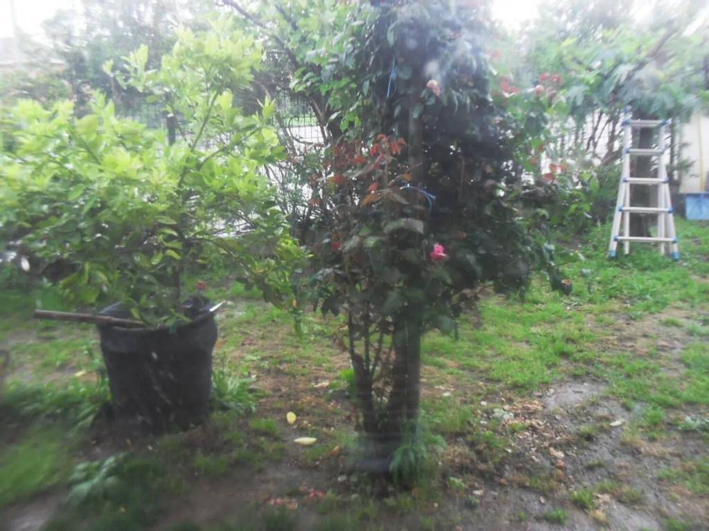 Villa a Cassolnovo - Foto 5