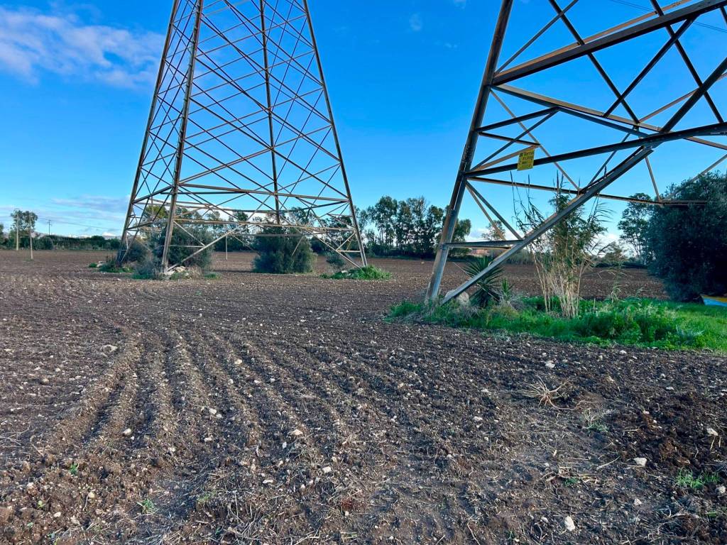 Terreno a Civitavecchia - Foto 3