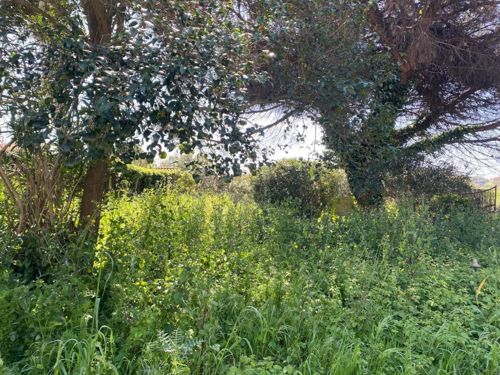 Villa a Ardea in Via Pratica di Mare - Foto 2