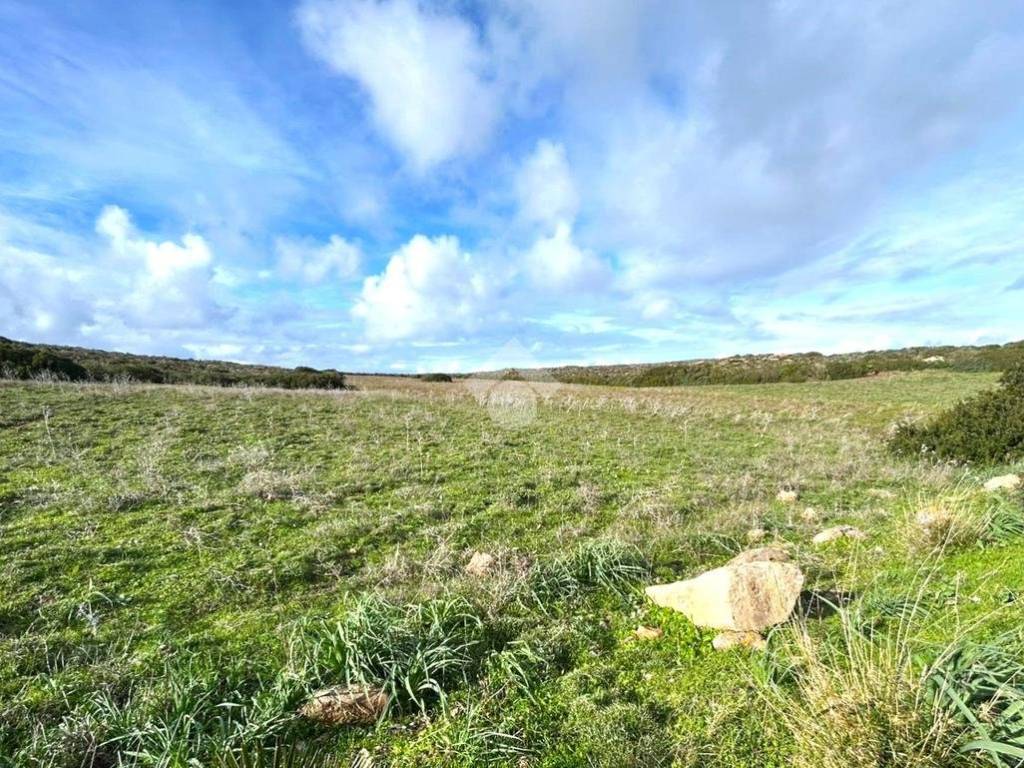 Terreno a Calasetta in Località Mercureddu, 1 - Foto 4