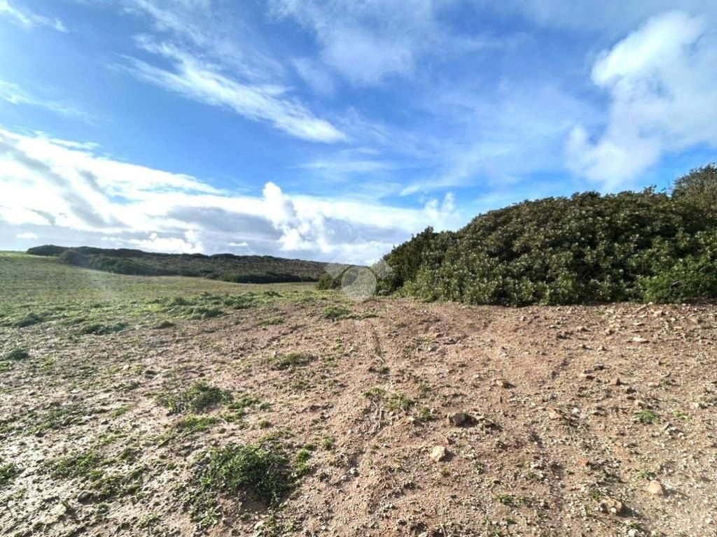 Terreno a Calasetta in Località Mercureddu, 1 - Foto 5