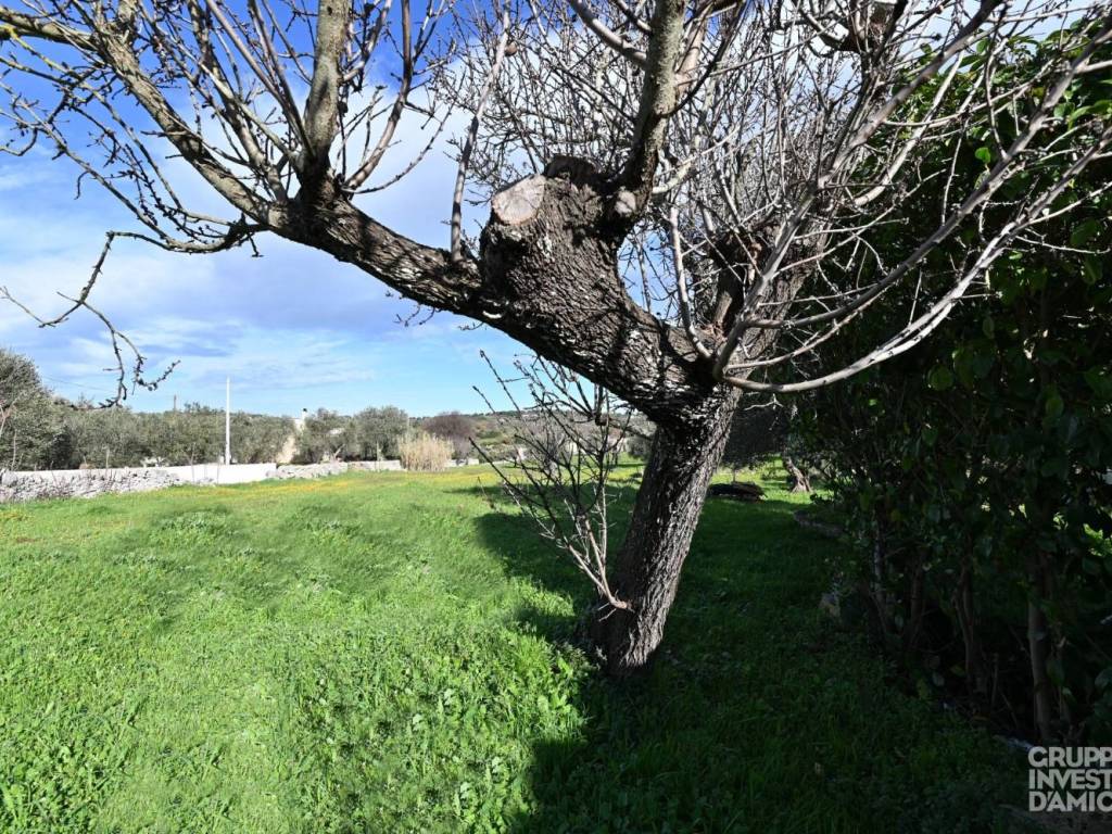 Rustico / casale a Cisternino in Contrada Capitolo - Foto 3