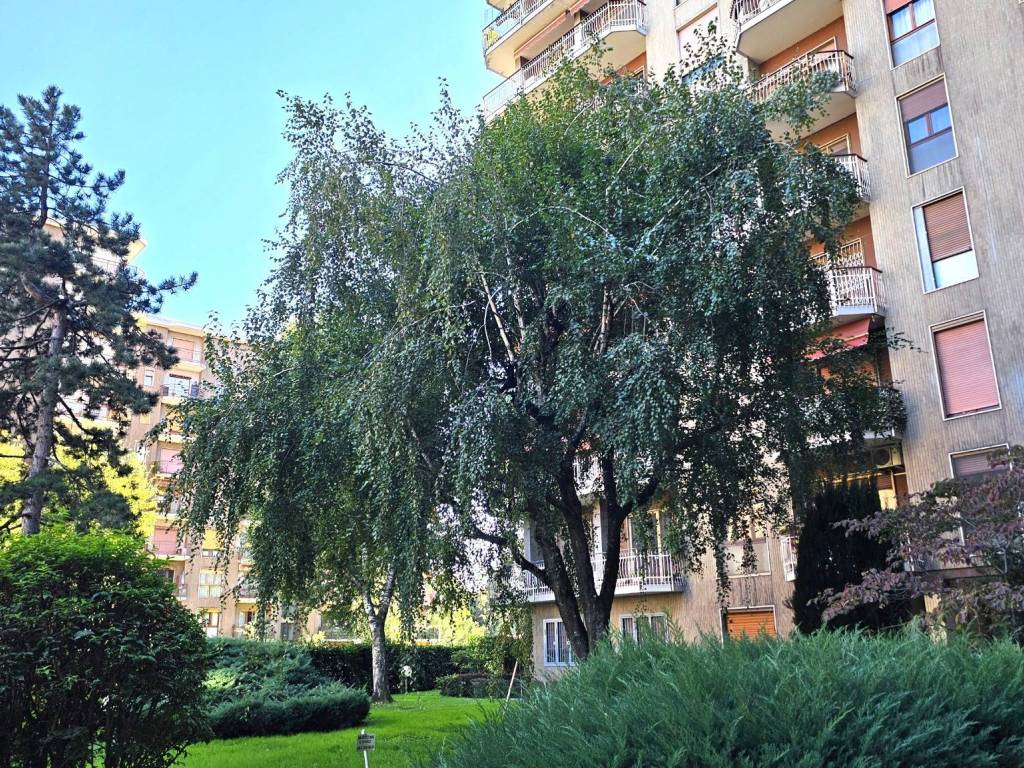 Box / garage a Corsico in Via Molinetto di Lorenteggio, 39 - Foto 5