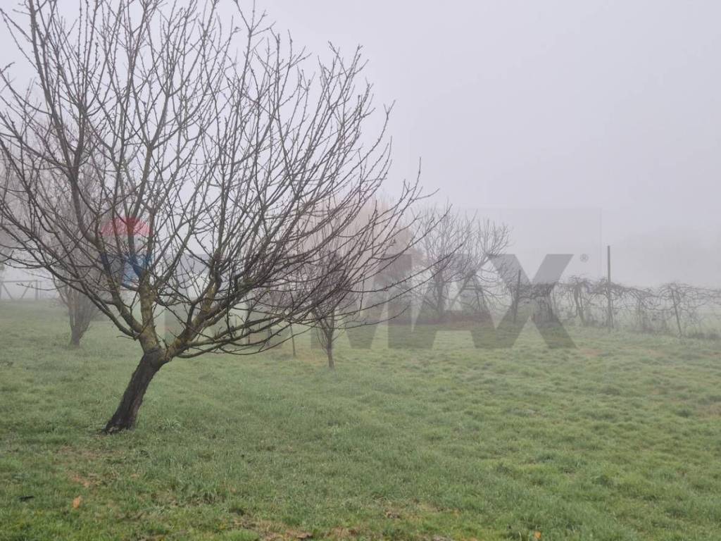 Villa a Ferrara in Via Santa Margherita, 22 - Foto 3