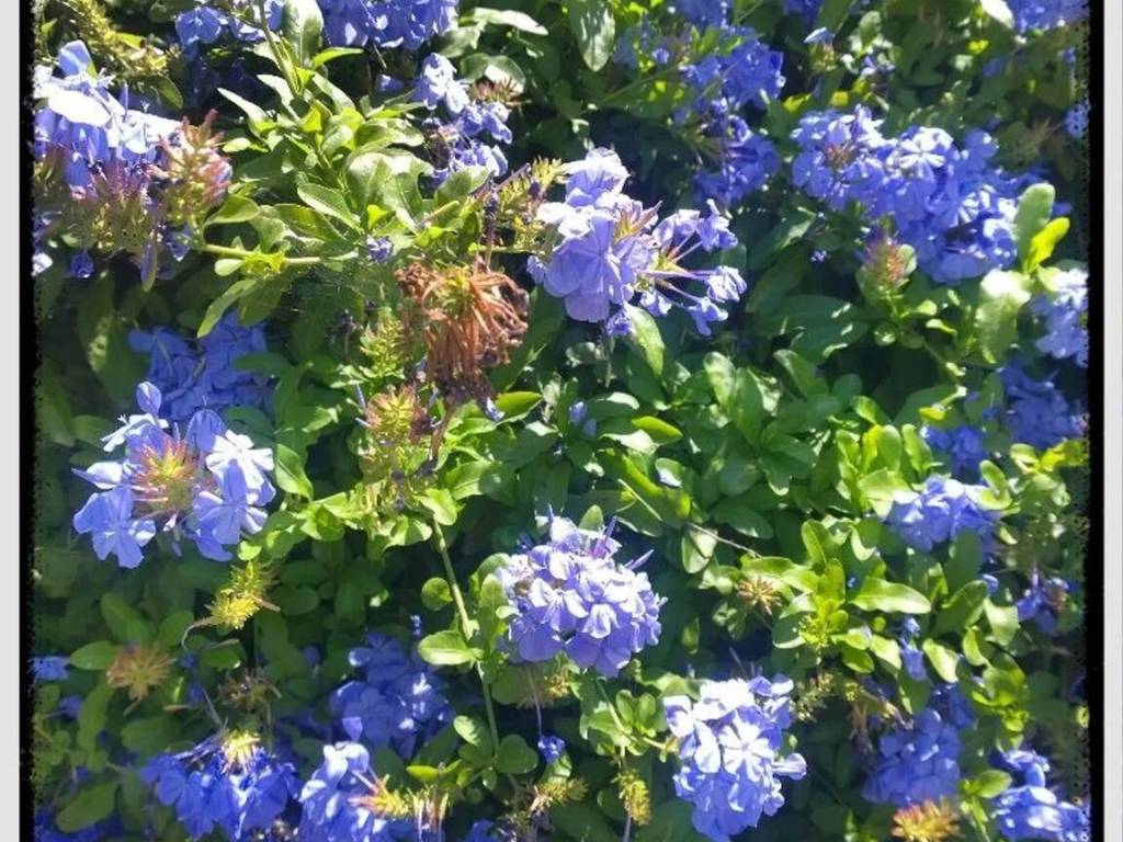 Villa a Eboli in Via Fontanelle, 30 - Foto 4