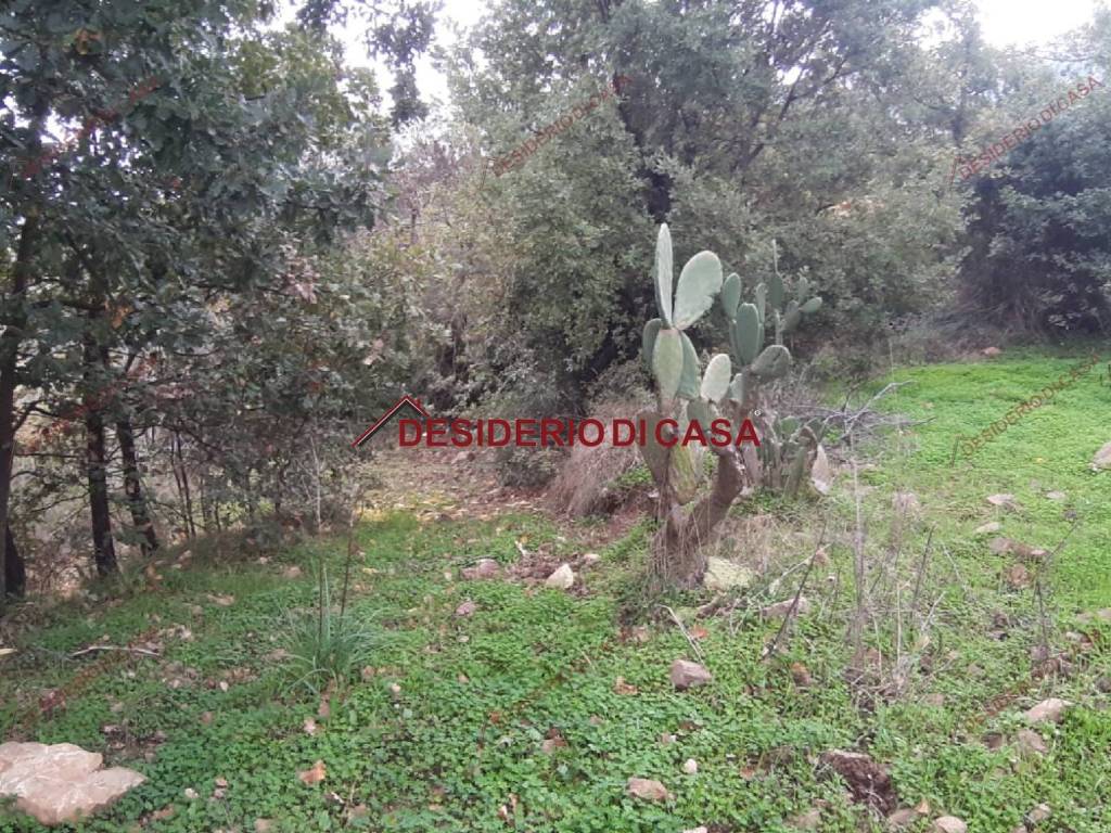 Terreno a Isnello in Contrada Passo Camillo - Foto 3