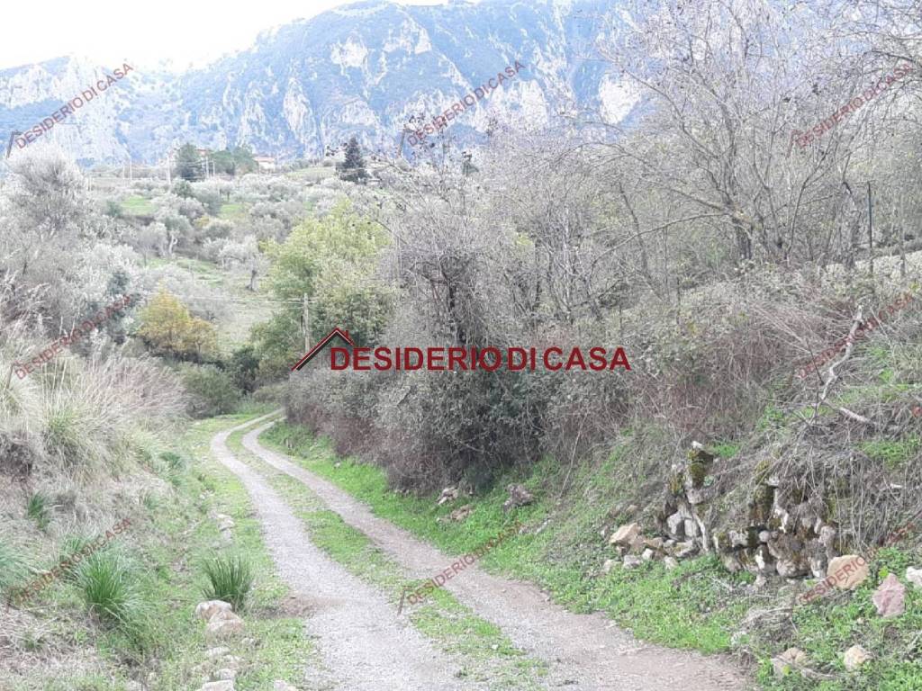 Terreno a Isnello in Contrada Passo Camillo - Foto 4