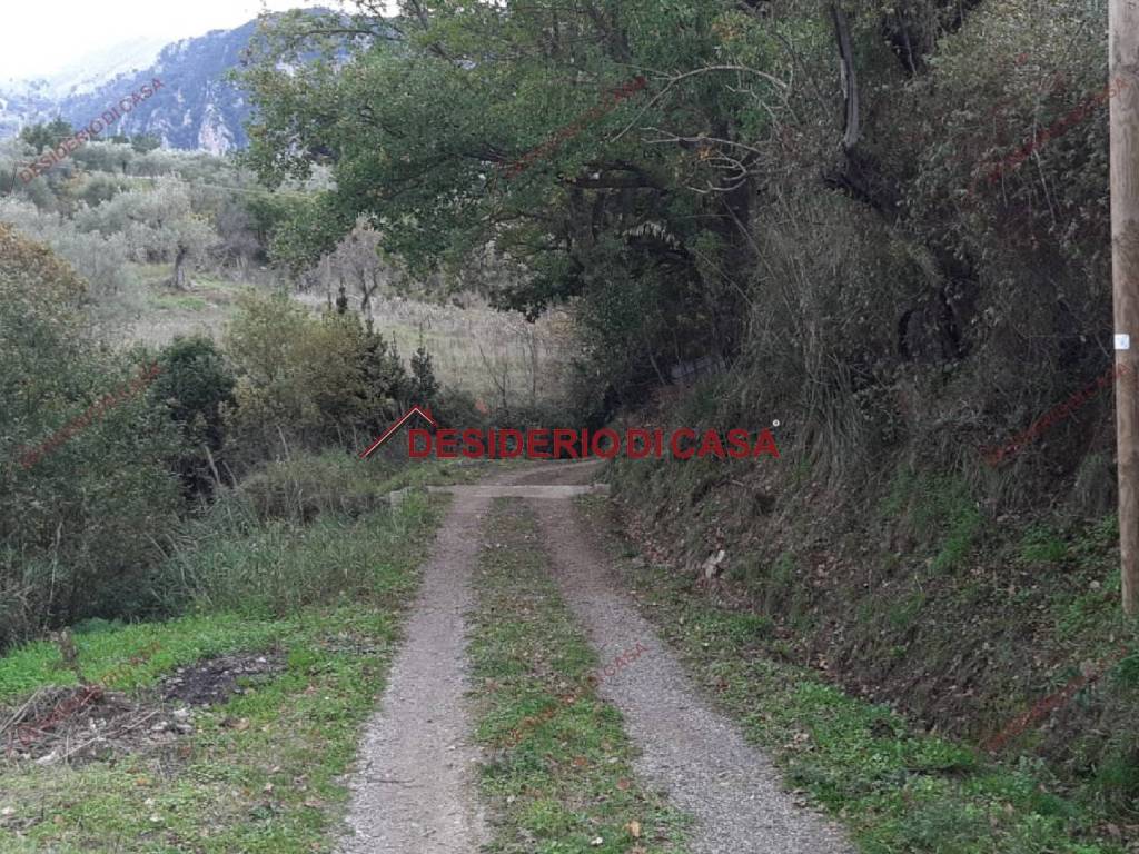 Terreno a Isnello in Contrada Passo Camillo - Foto 5