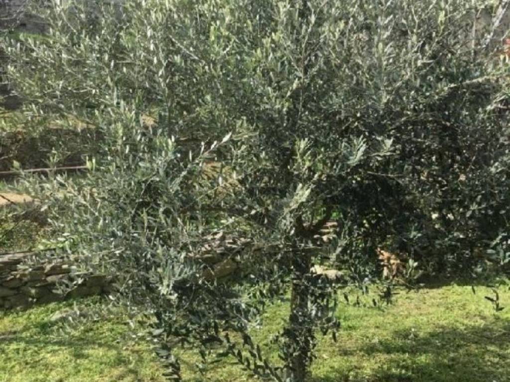 Casa indipendente a La spezia - Foto 5