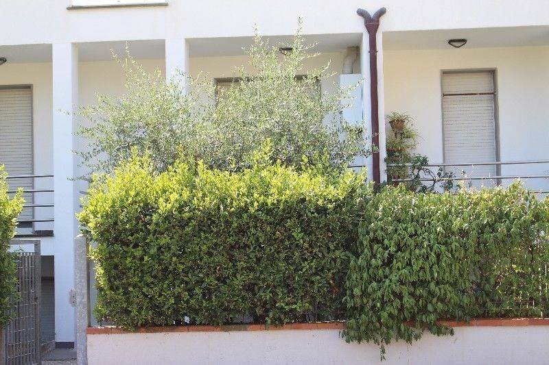 Appartamento a La spezia - Foto 3