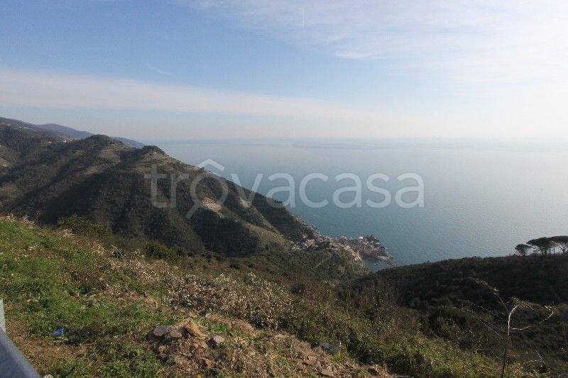 Rustico / casale a Vernazza - Foto 2