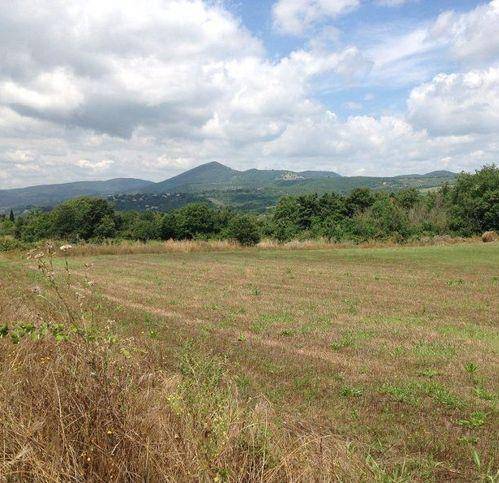 Terreno a Trevignano romano in Via Settevene Palo - Foto 3