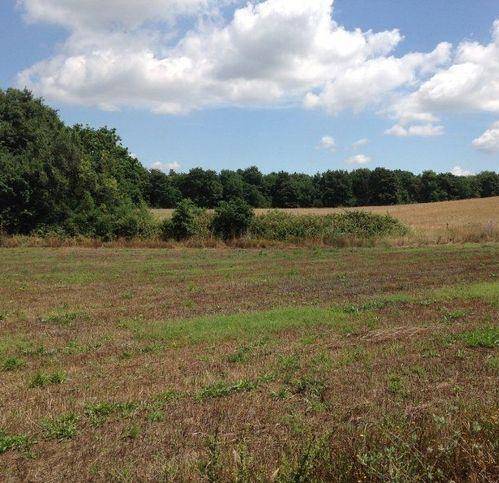 Terreno a Trevignano romano in Via Settevene Palo - Foto 4