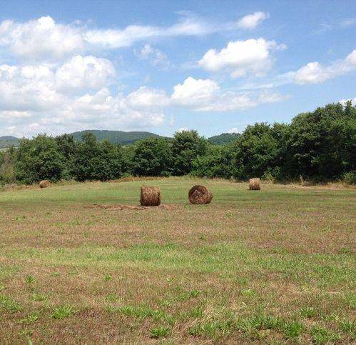 Terreno a Trevignano romano in Via Settevene Palo - Foto 5