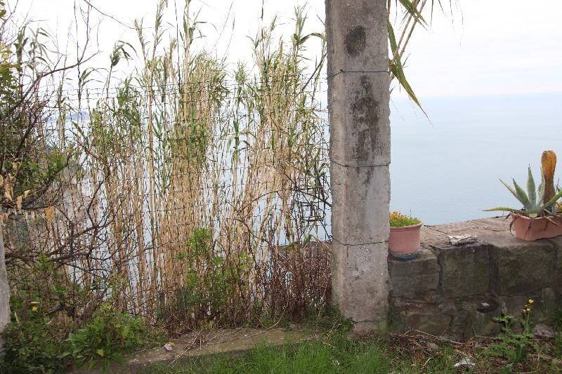 Rustico / casale a La spezia - Foto 2