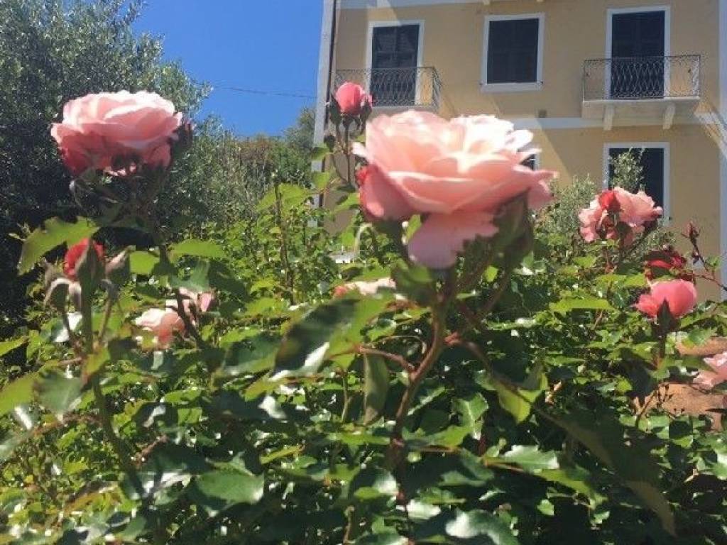 Appartamento a Vernazza - Foto 2