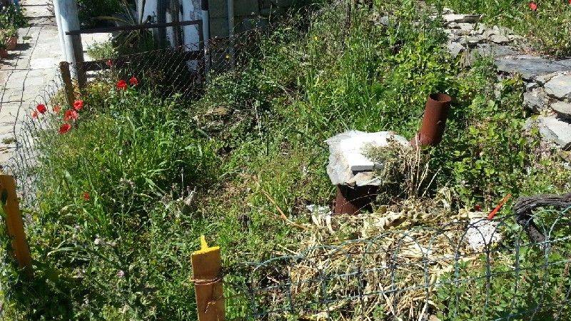 Casa indipendente a La spezia - Foto 3