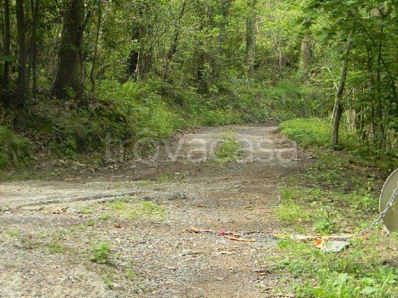 Rustico / casale a La spezia - Foto 4