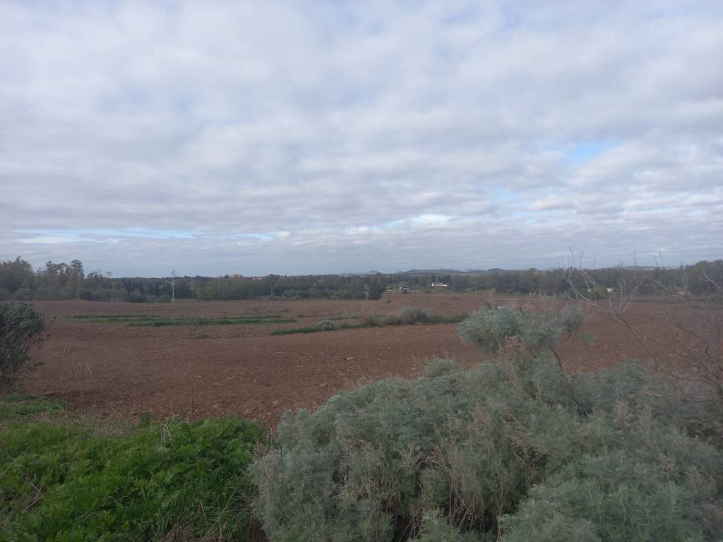 Terreno a Monastir in Strada Statale Carlo Felice - Foto 3