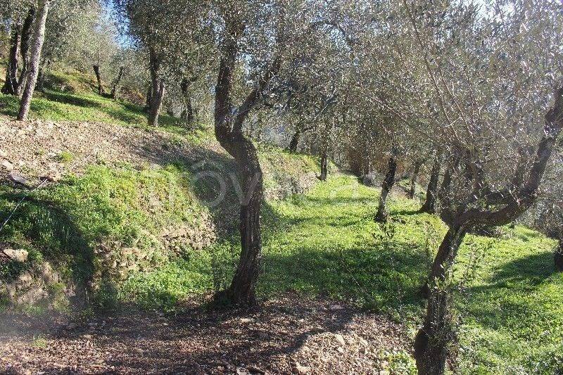 Casa indipendente a Sarzana - Foto 3