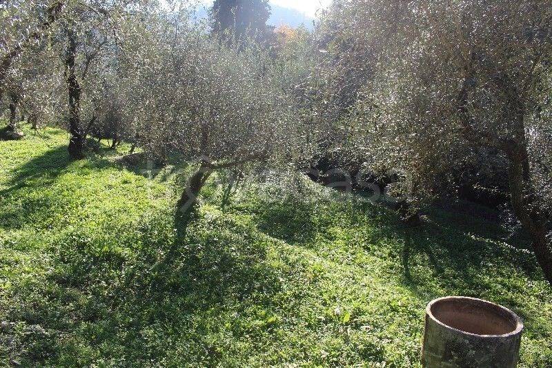 Casa indipendente a Sarzana - Foto 4