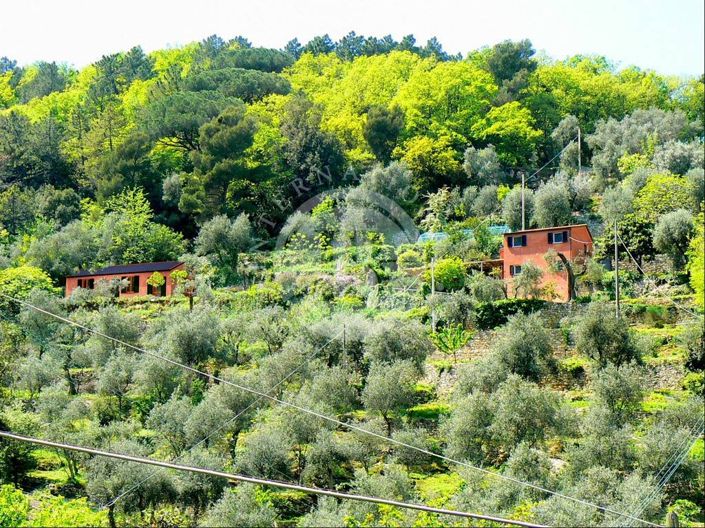 Rustico / casale a Portovenere - Foto 2