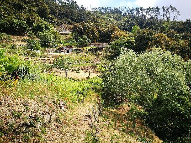 Rustico / casale a Vernazza - Foto 3