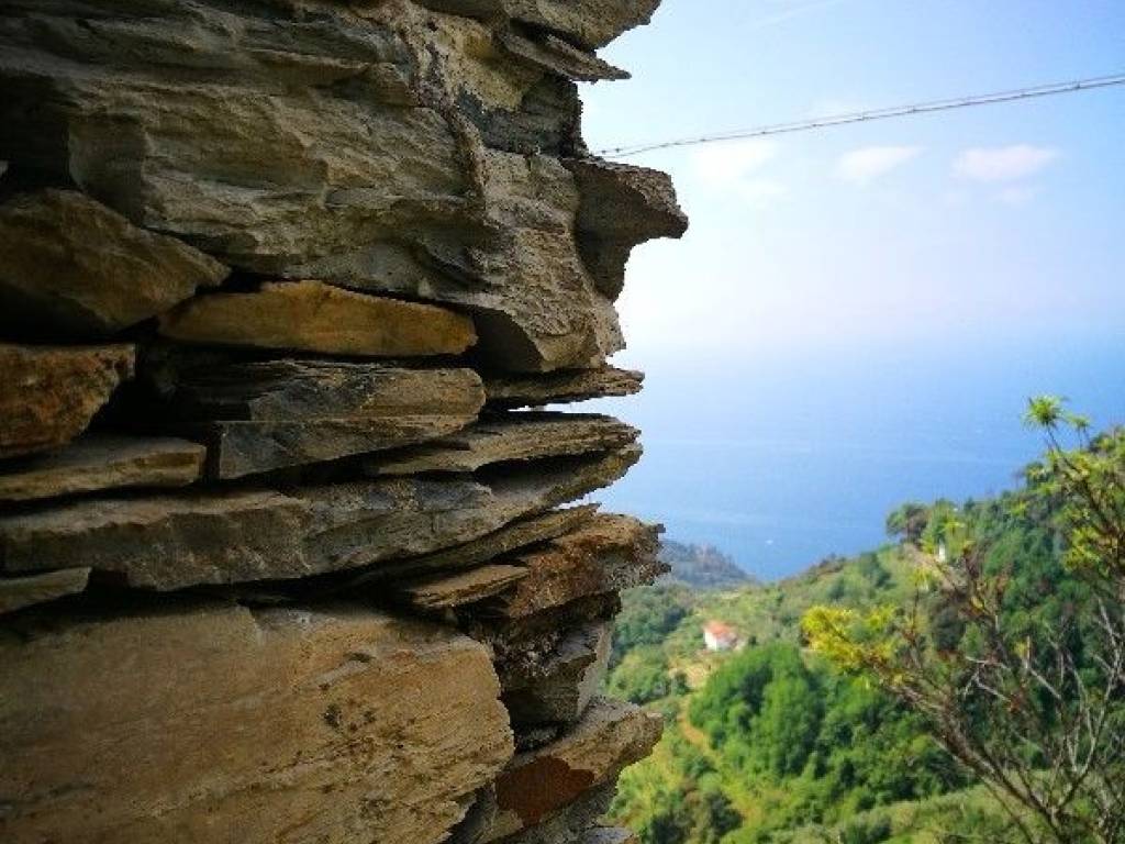 Rustico / casale a Vernazza - Foto 4