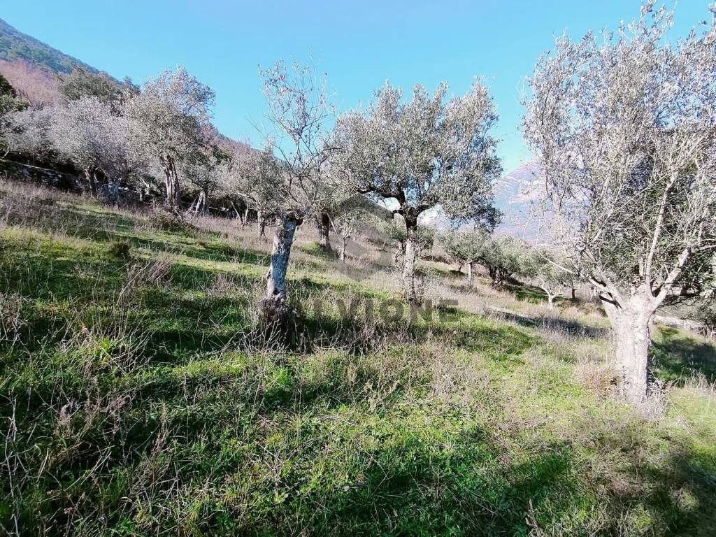Terreno a Faicchio in Massa S.N.C. - Foto 4