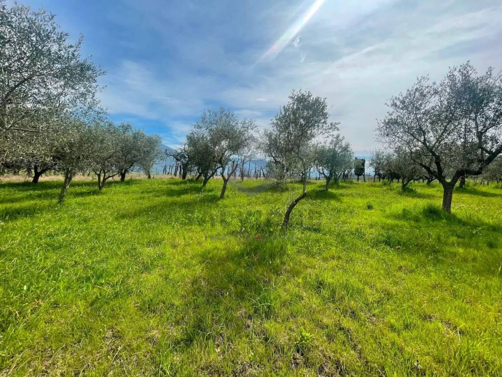 Terreno a Faicchio in Via Arenella S.N.C. - Foto 2